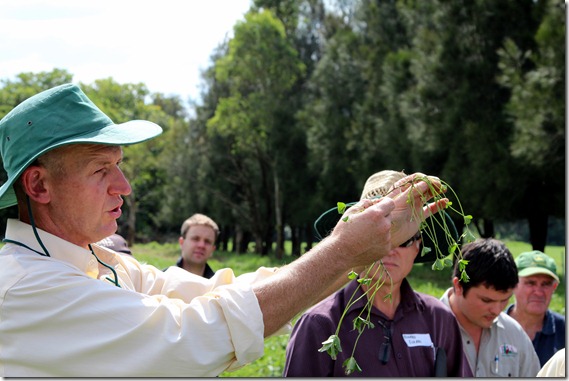 Dr Neil Moss and Dr Richard Eckard share the benefits of planting legume pastures with Field Day particpants 